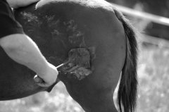 餐飲店老板該如何設計餐飲品牌在競爭中勝出并贏得顧客？